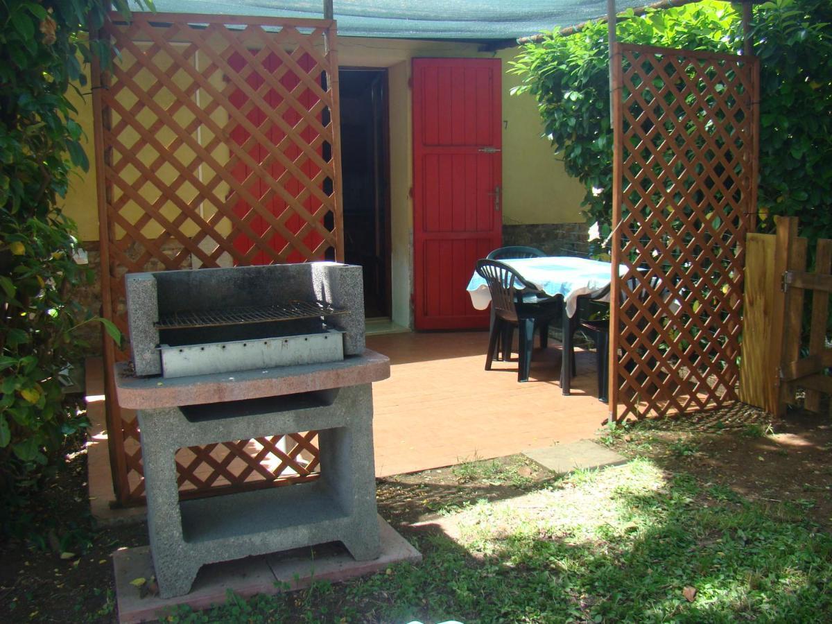 סן וינצ'נזו Casa Vacanze Guardamare מראה חיצוני תמונה