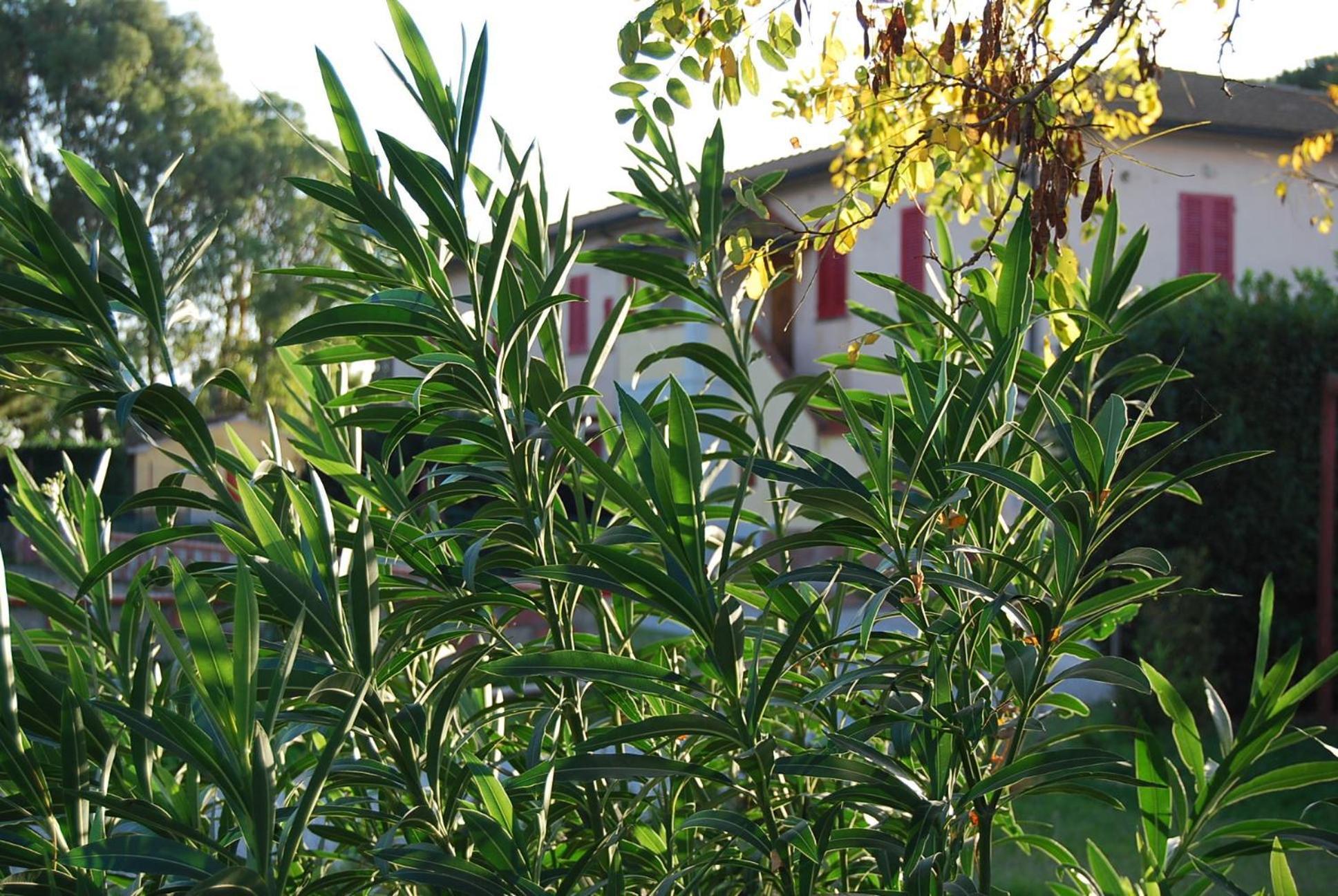 סן וינצ'נזו Casa Vacanze Guardamare מראה חיצוני תמונה