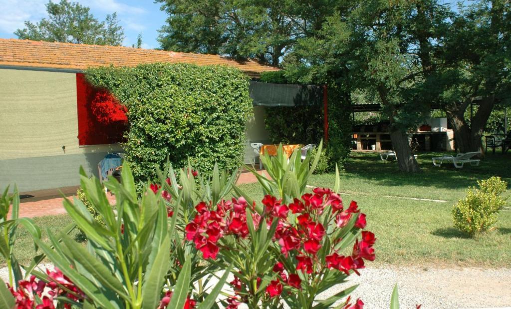 סן וינצ'נזו Casa Vacanze Guardamare חדר תמונה