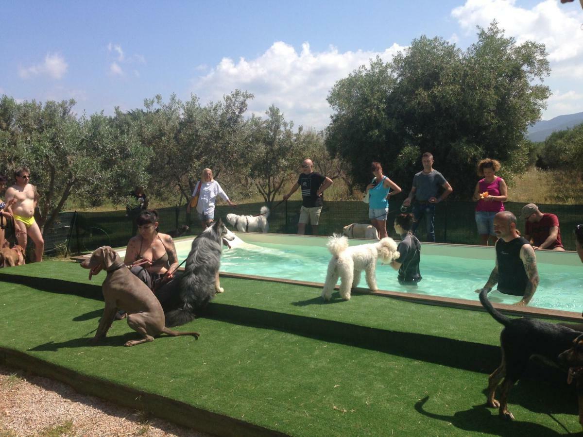 סן וינצ'נזו Casa Vacanze Guardamare מראה חיצוני תמונה