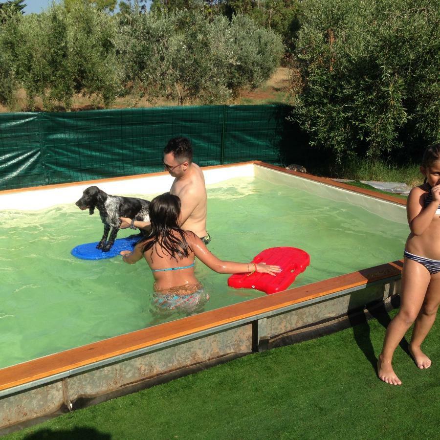 סן וינצ'נזו Casa Vacanze Guardamare מראה חיצוני תמונה