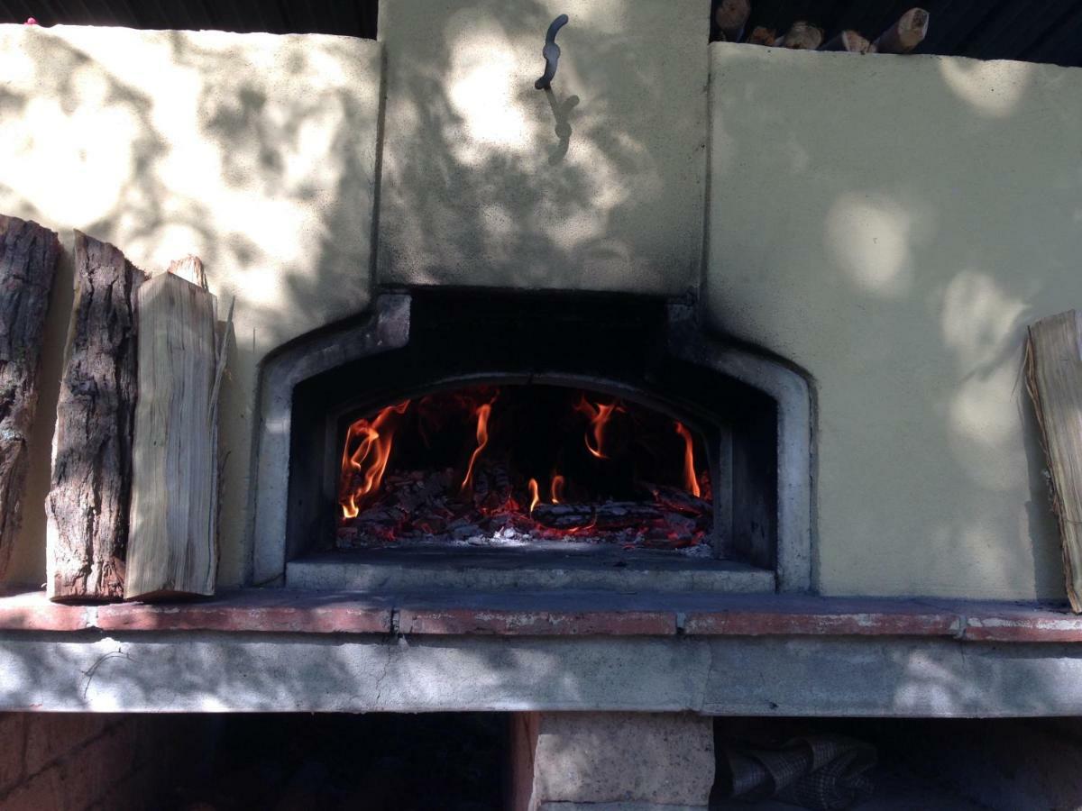סן וינצ'נזו Casa Vacanze Guardamare מראה חיצוני תמונה